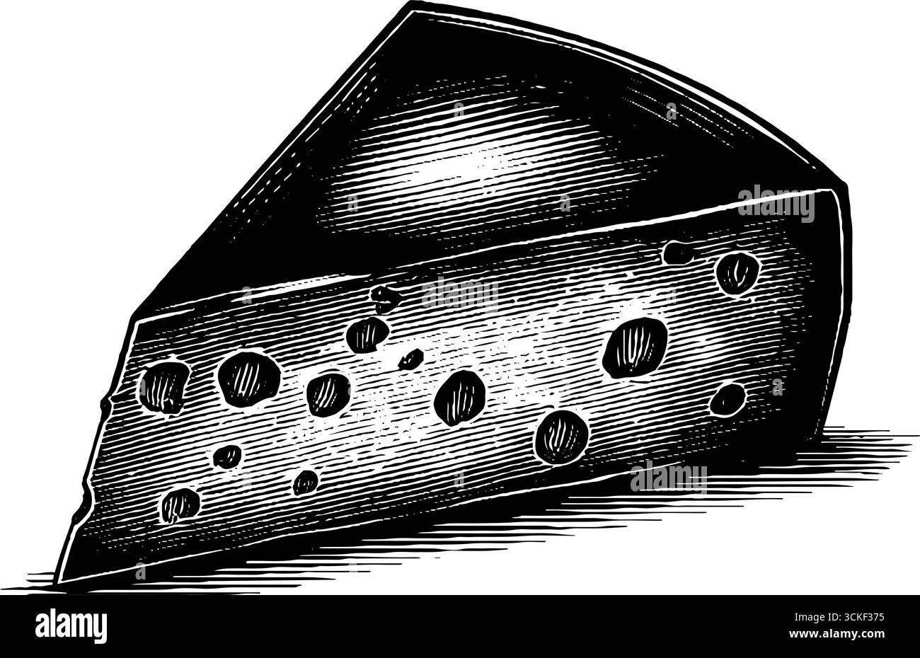 Illustrazione vintage incisa di formaggio duro per il design culinario. Illustrazione Vettoriale