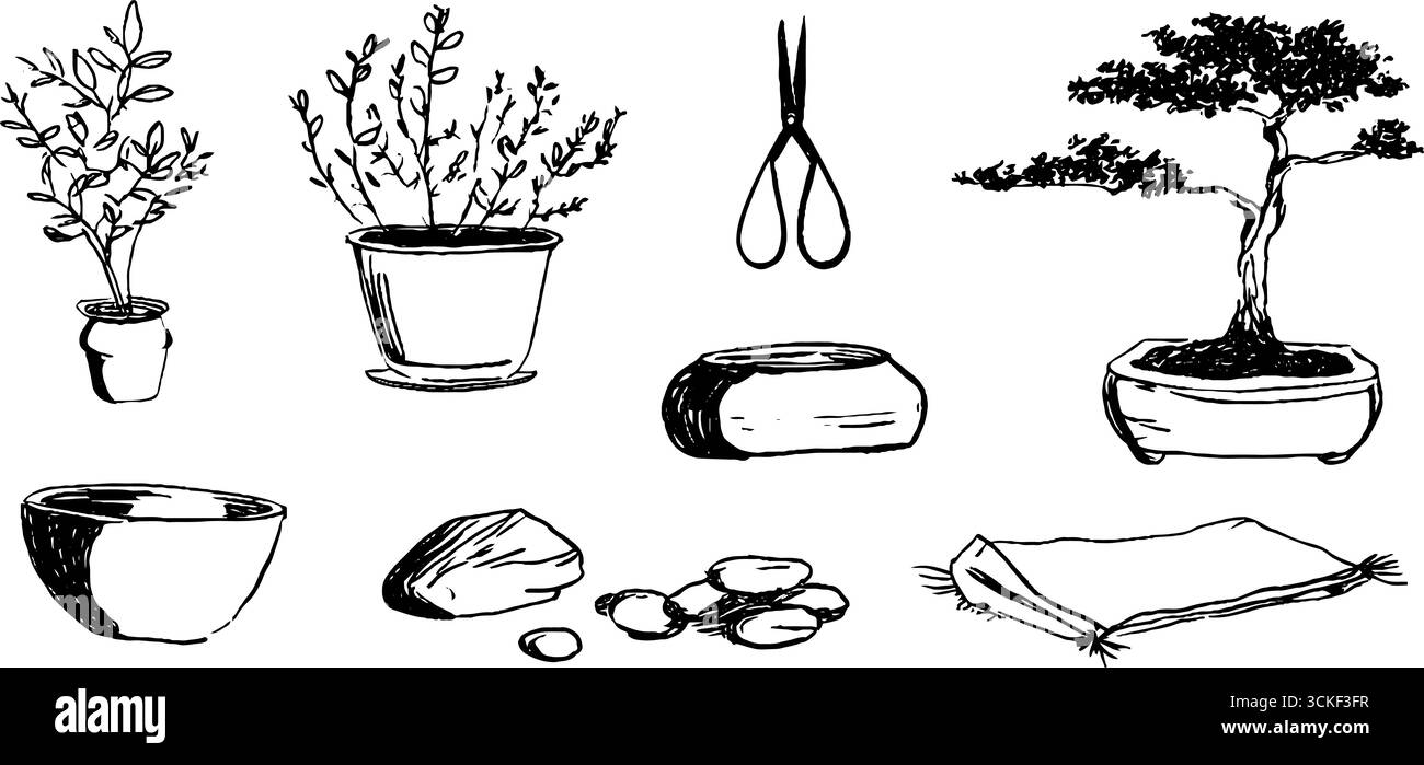 Collezione di bozzetti bonsai in bianco e nero: Alberi bonsai disegnati a mano, attrezzi e pentole. Illustrazione Vettoriale