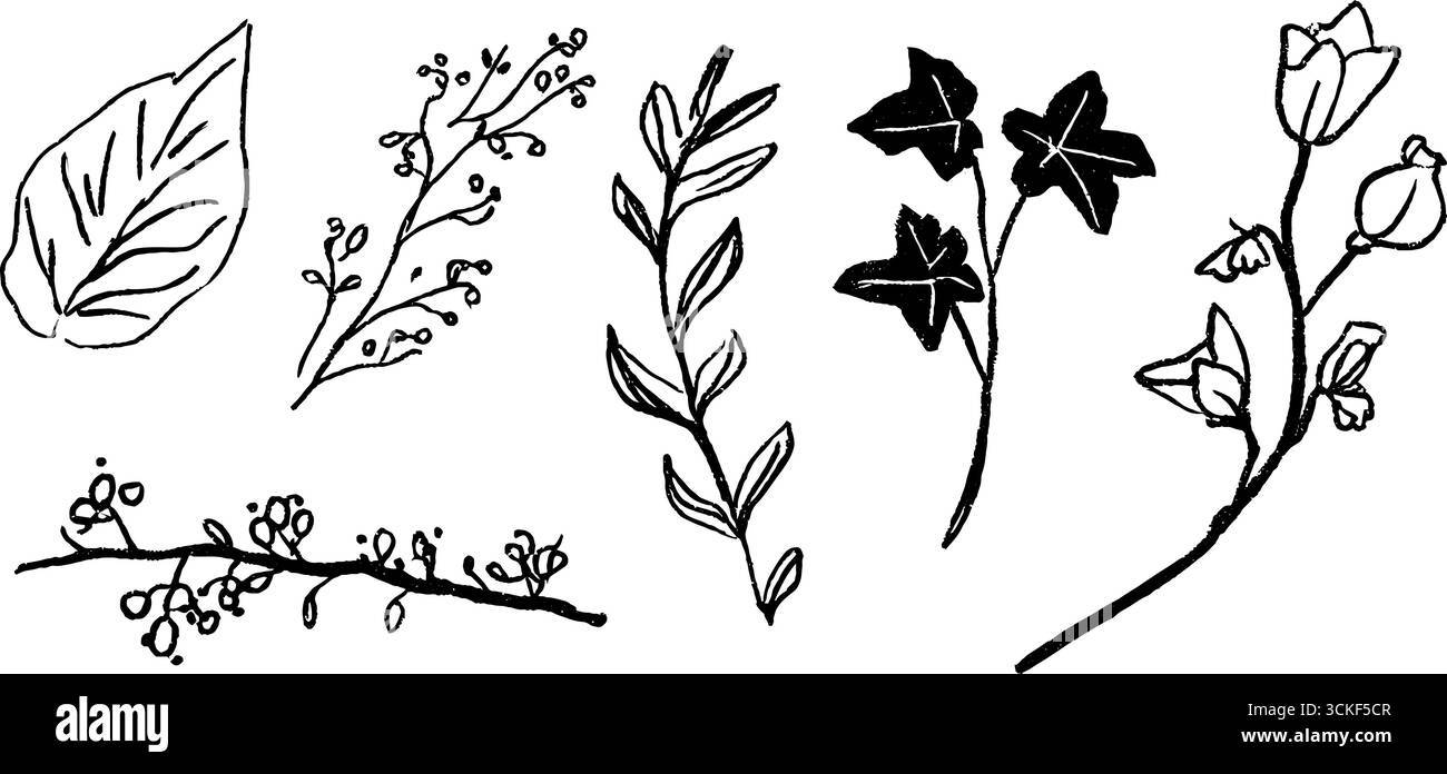 Collezione di schizzi di foglie di edera disegnate a mano in bianco e nero per un design botanico. Illustrazione Vettoriale