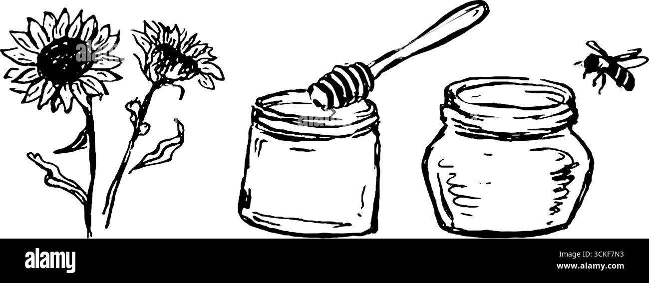 Schizzo in bianco e nero della collezione di girasole e miele. Illustrazione Vettoriale