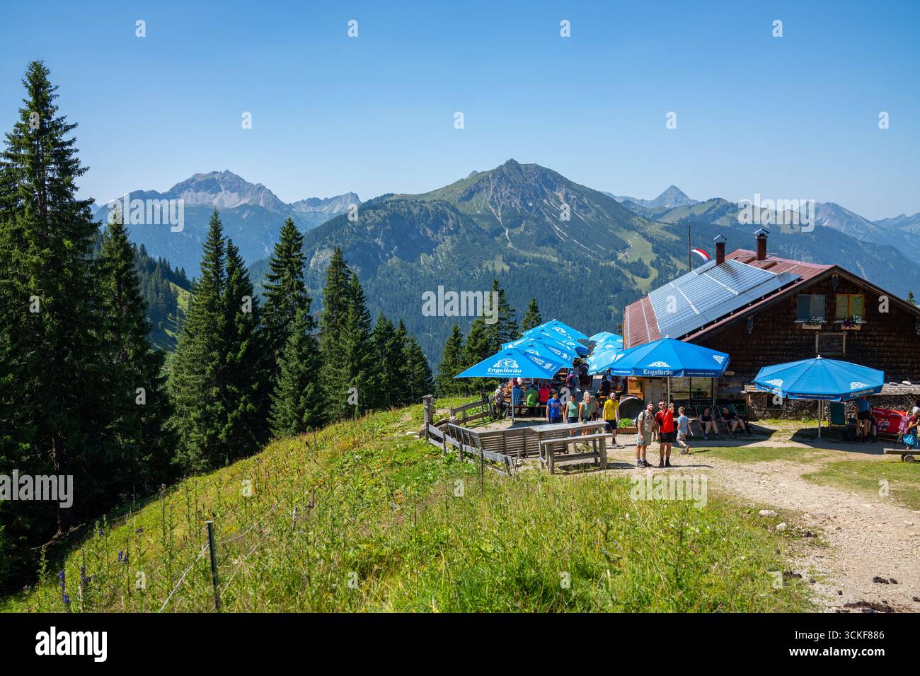 Haldensee, Austria. 09 agosto 2025. Escursione in pista fino a Schneetalalm il 9 agosto 2025 ad Haldensee, Tirolo, Austria . Fotografo: ddp Images/STAR-Images credito: ddp media GmbH/Alamy Live News Foto Stock
