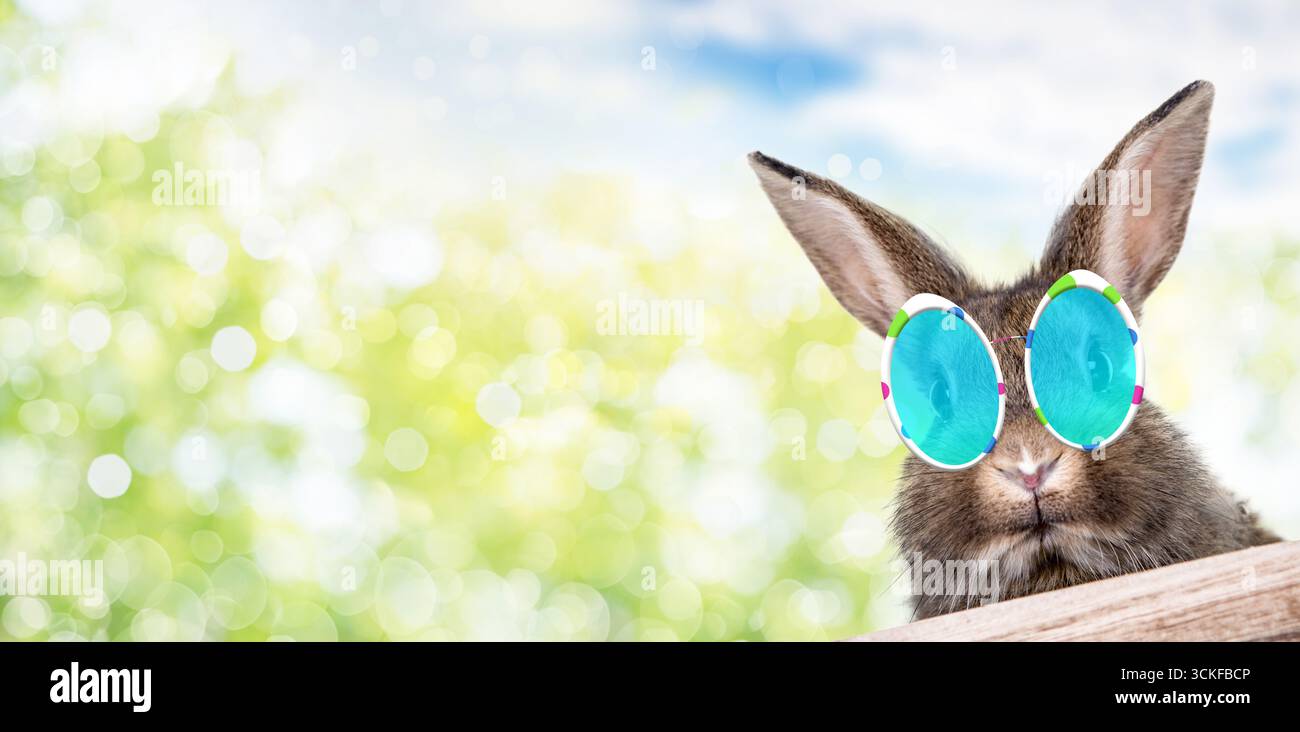 raffreddare il coniglietto pasquale con i bicchieri da uovo di pasqua, componendo Foto Stock