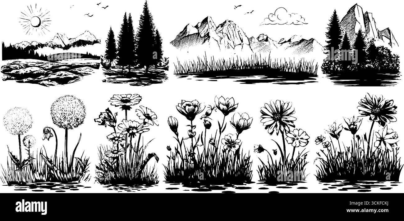 Paesaggi naturali in bianco e nero e illustrazioni floreali con montagne e alberi. Illustrazione Vettoriale