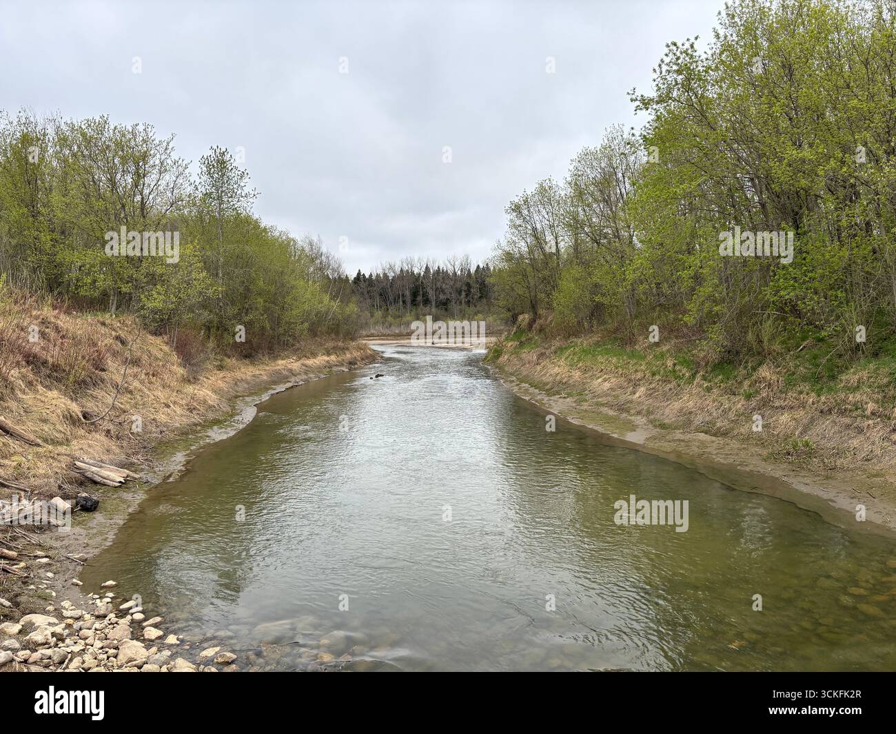 Tranquilla curva del fiume che scorre attraverso il verde primaverile con alberi e arbusti lungo la riva del fiume. - Immagine stock catturata con smartphone