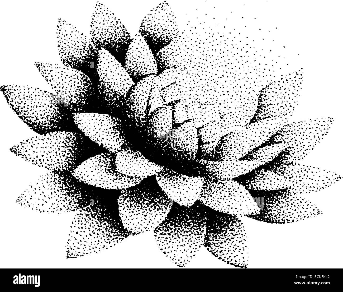 Intricate opere d'arte punteggiate con fiori geometrici sacri. Illustrazione Vettoriale