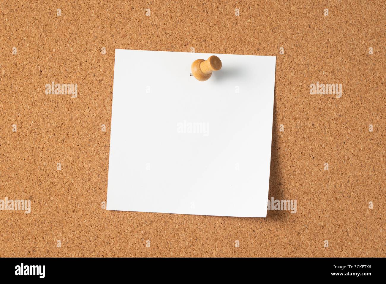 Un singolo perno a pressione in legno fissa un foglio bianco vuoto su una bacheca in sughero, pronto per appunti, promemoria o messaggi. Foto Stock