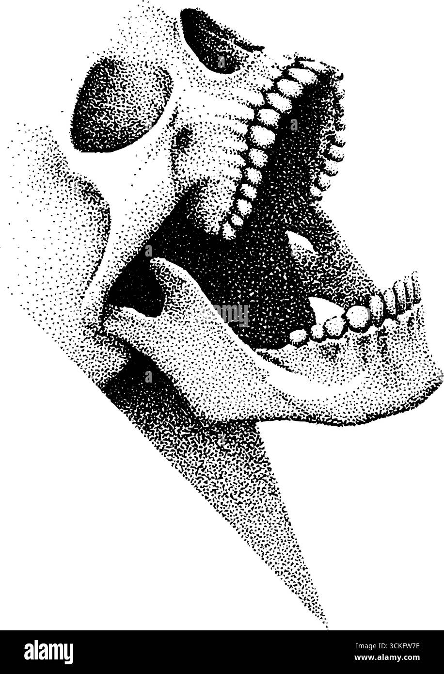 Immagine verticale del teschio urlante per la progettazione di tatuaggi. Illustrazione Vettoriale