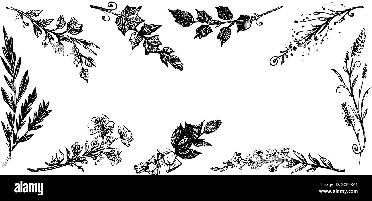 Eleganti motivi a foglia di edera disegnati a mano e angoli floreali per un design decorativo. Illustrazione Vettoriale