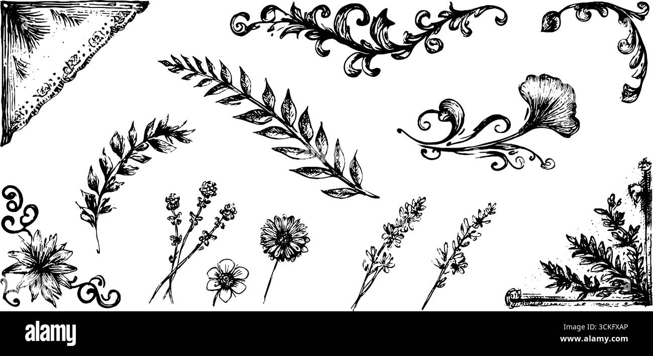 Collezione di foglie d'edera decorative disegnate a mano e motivi floreali per il design. Illustrazione Vettoriale