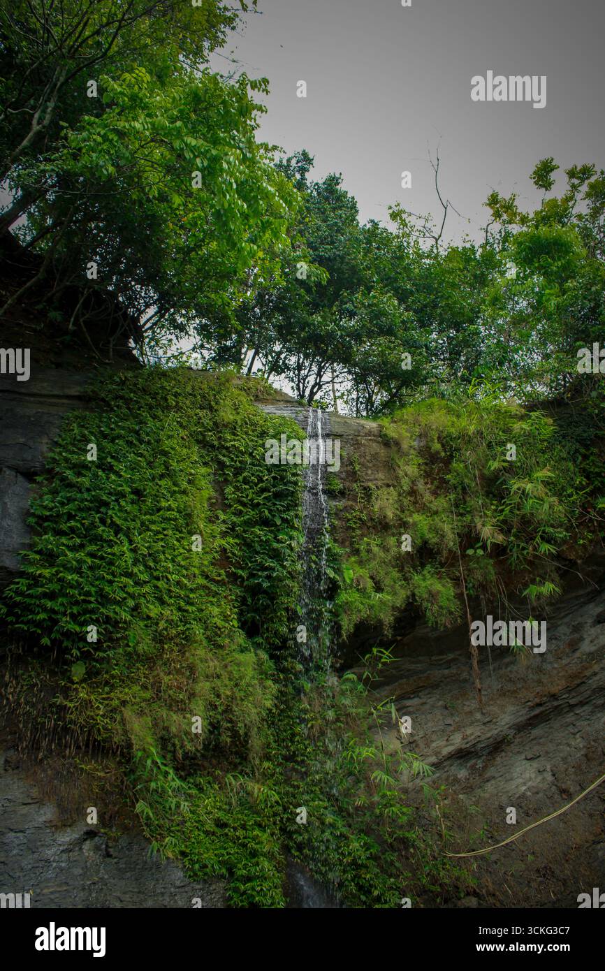 Una stretta cascata che scende lungo una scogliera rocciosa coperta da muschio verde, felci e piante tropicali, circondata da lussureggianti alberi della foresta a Chattogram, Ba Foto Stock
