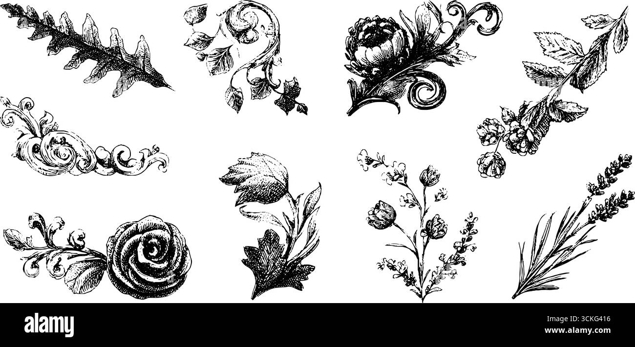 Motivi decorativi ad angolo con foglie di edera per un design e una decorazione artistici. Illustrazione Vettoriale