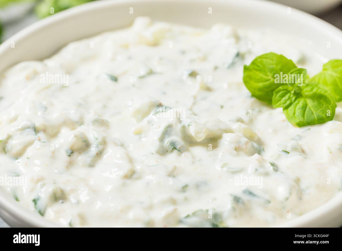 Salsa Raita indiana casalinga sana con coriandolo di yogurt e cetriolo Foto Stock