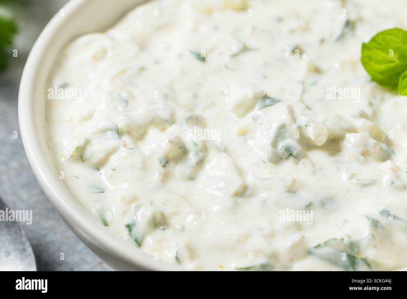 Salsa Raita indiana casalinga sana con coriandolo di yogurt e cetriolo Foto Stock