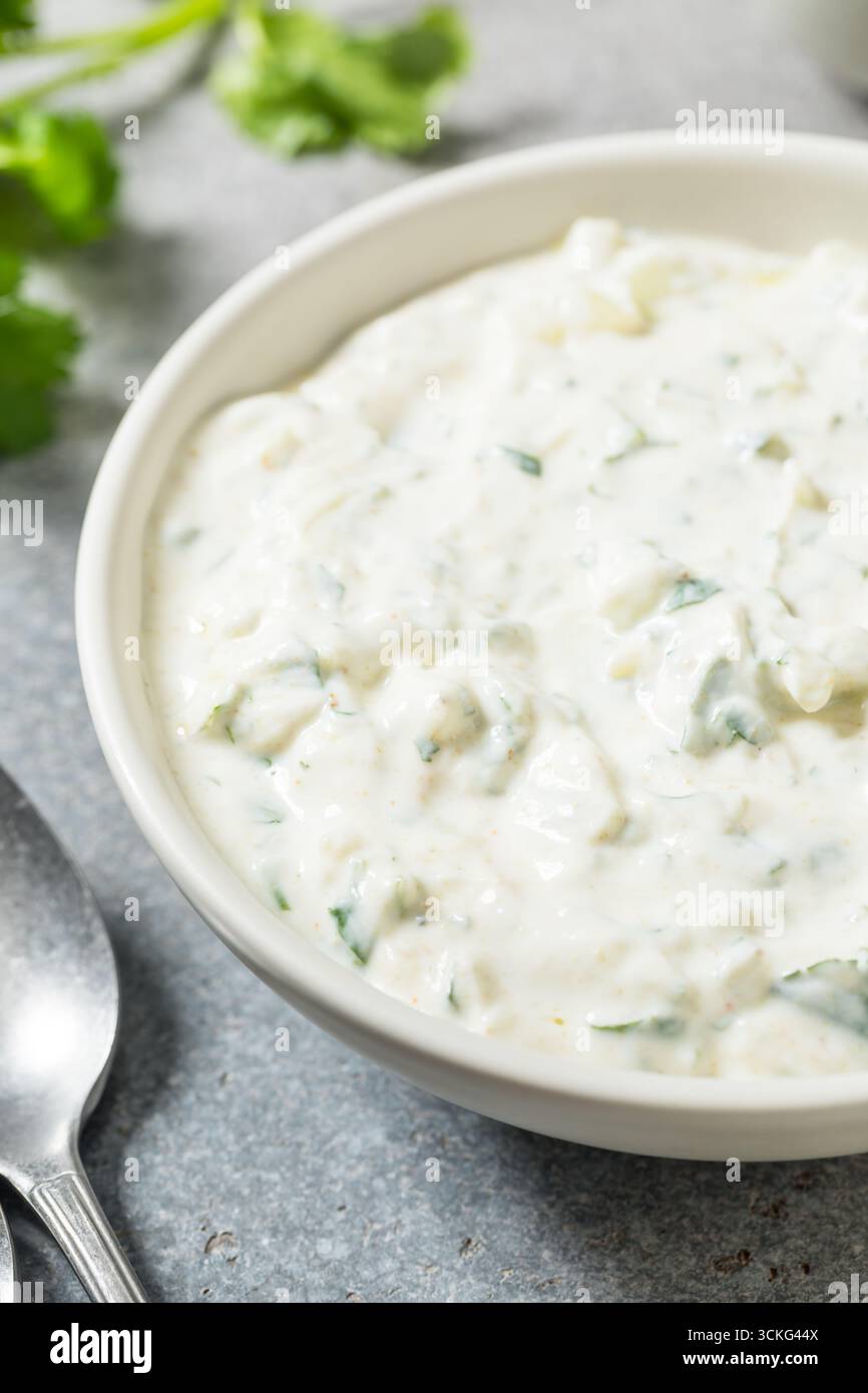 Salsa Raita indiana casalinga sana con coriandolo di yogurt e cetriolo Foto Stock