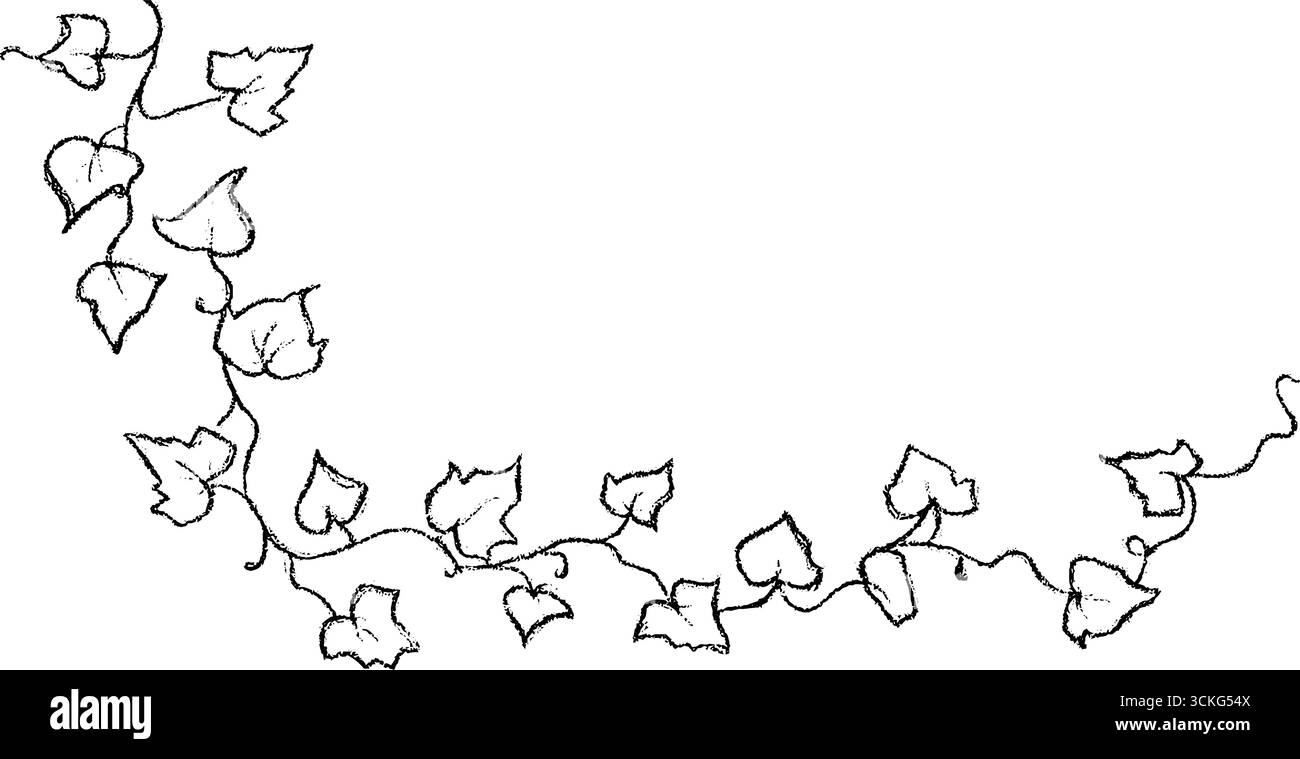 Design ad angolo per edera disegnato a mano per progetti decorativi. Illustrazione Vettoriale