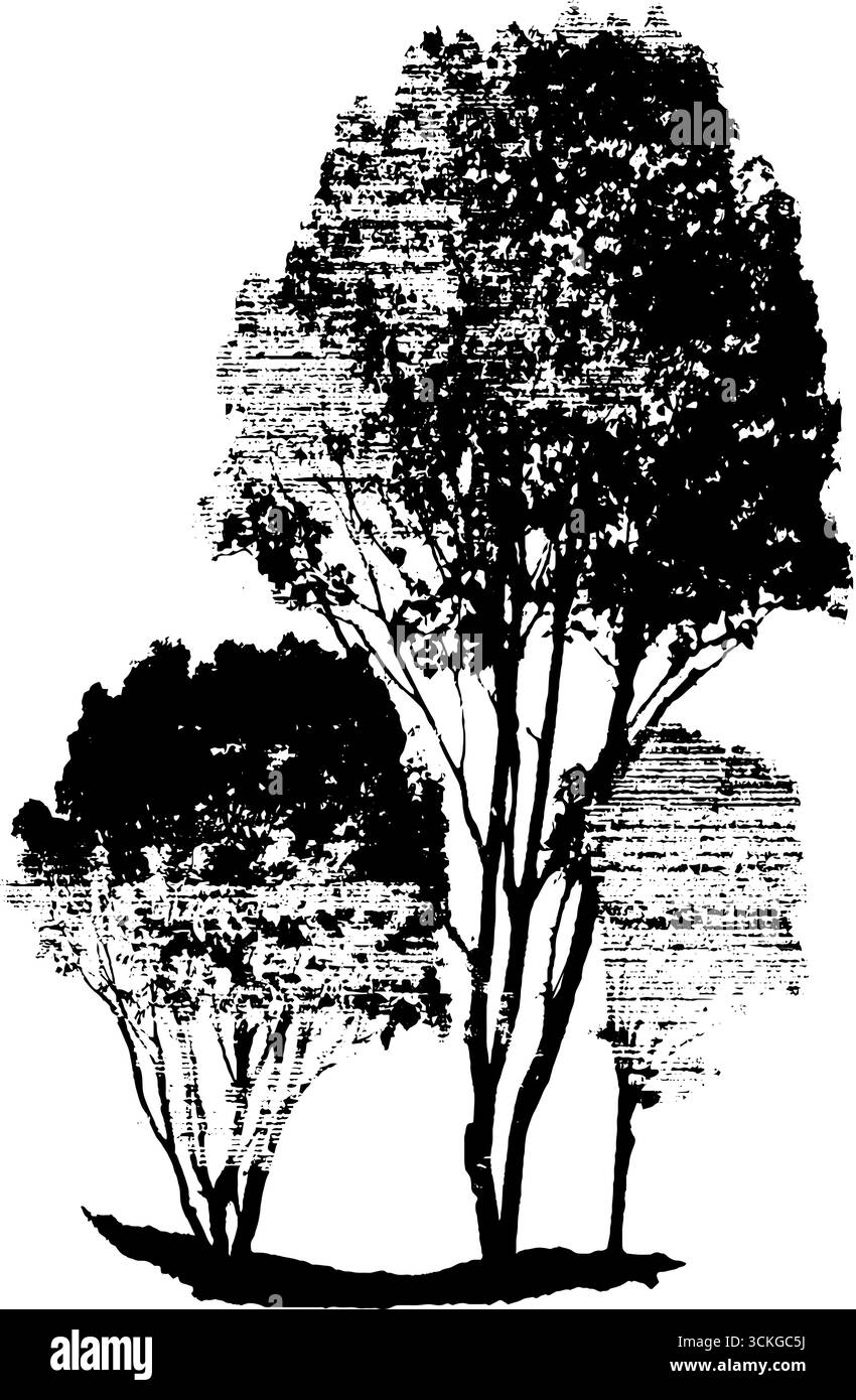 Grunge la silhouette nera e bianca della foresta infestata per il design di halloween. Illustrazione Vettoriale