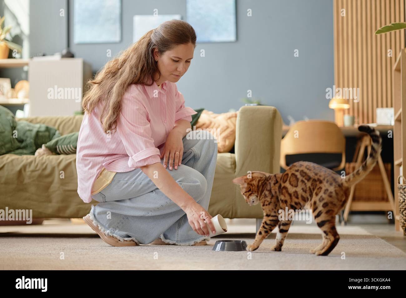 Giovane donna adulta che dà da mangiare al gatto del Bengala a casa Foto Stock