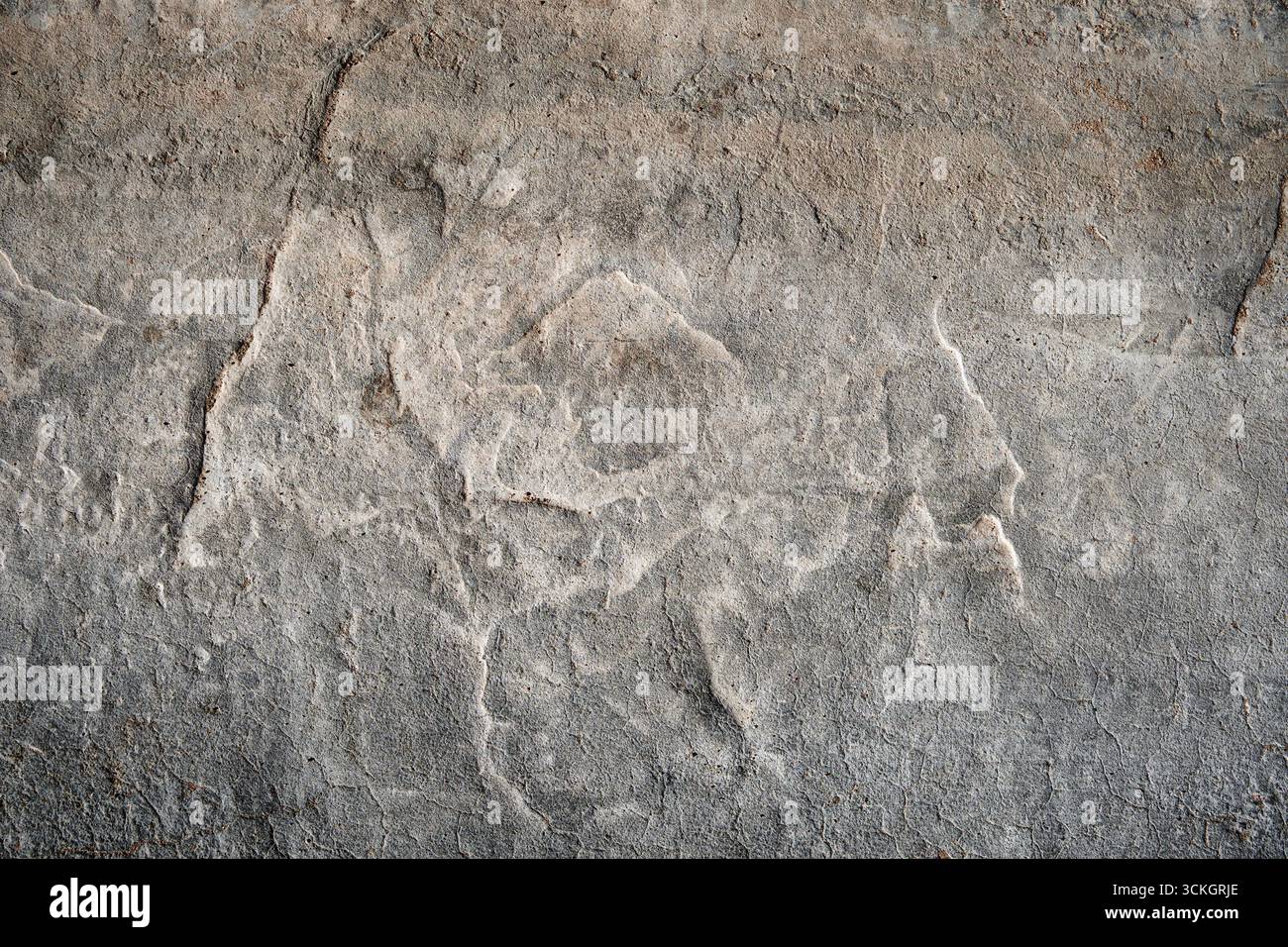 Parete in calcestruzzo fessurato rivestita con superficie in cemento grigio. Vecchia parete grigia con intonaco o cemento rovinato e sfondo in mattoni di un'annata sporca Foto Stock
