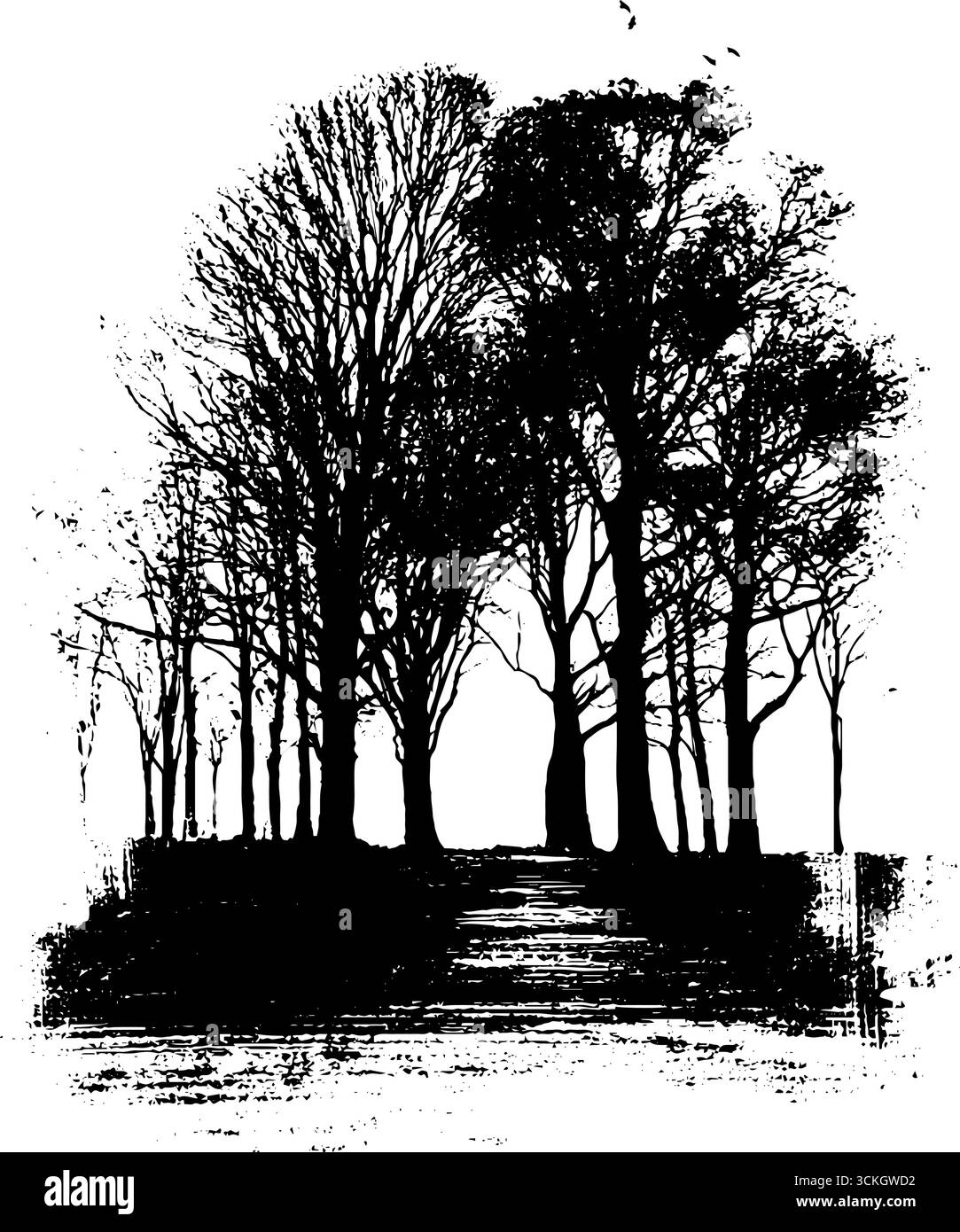 Grunge illustrazione in bianco e nero di una spaventosa scena forestale per il design di halloween. Illustrazione Vettoriale