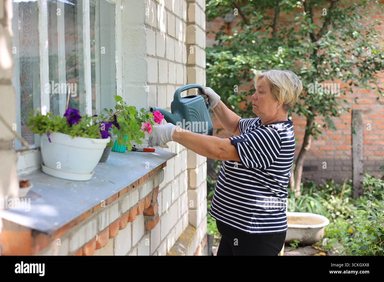 Ritratto di una donna anziana felice che giardinaggio. Sta potando i fiori. Foto Stock