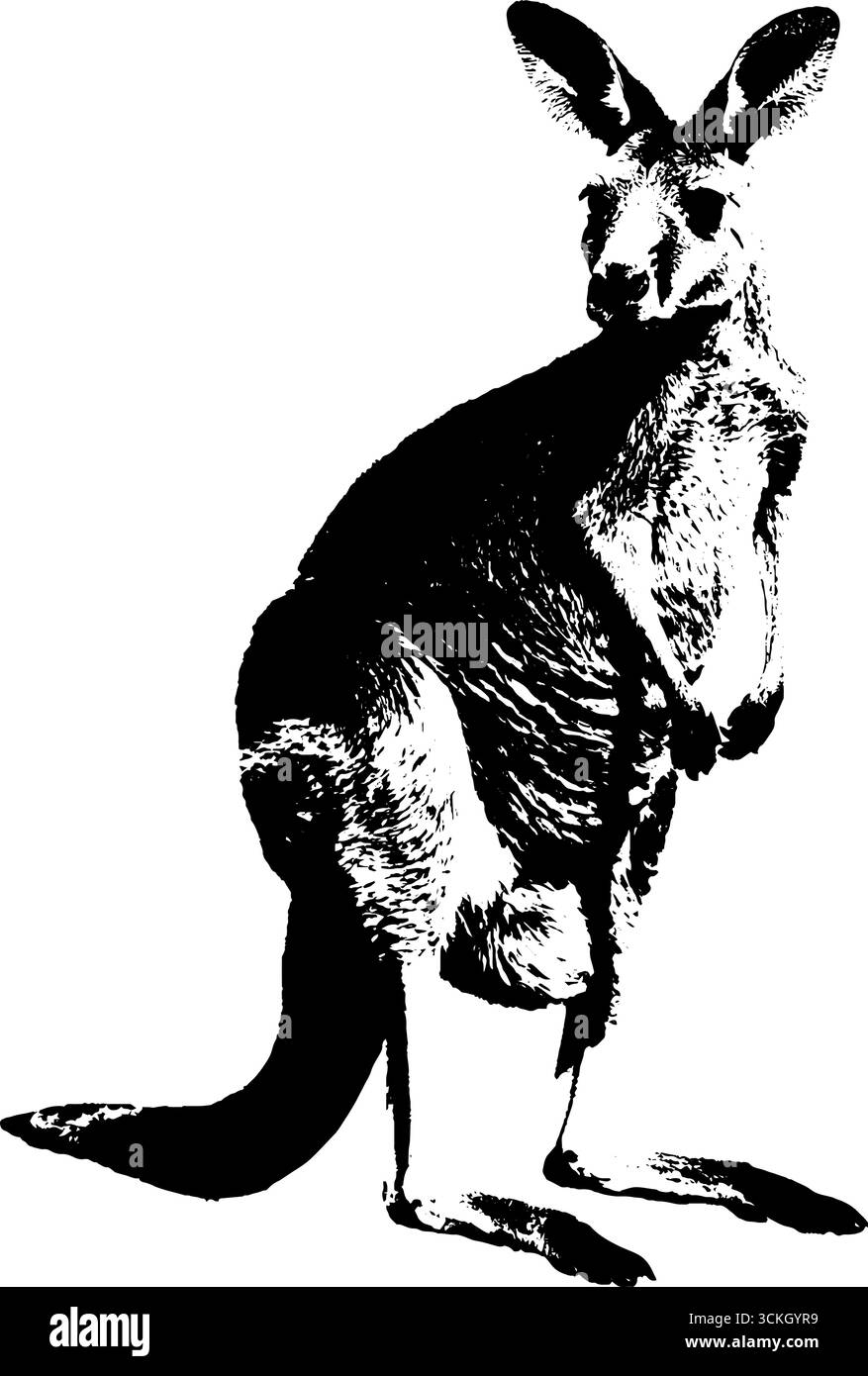 Stencil con silhouette in canguro in bianco e nero a contrasto elevato per l'arte e il design. Illustrazione Vettoriale