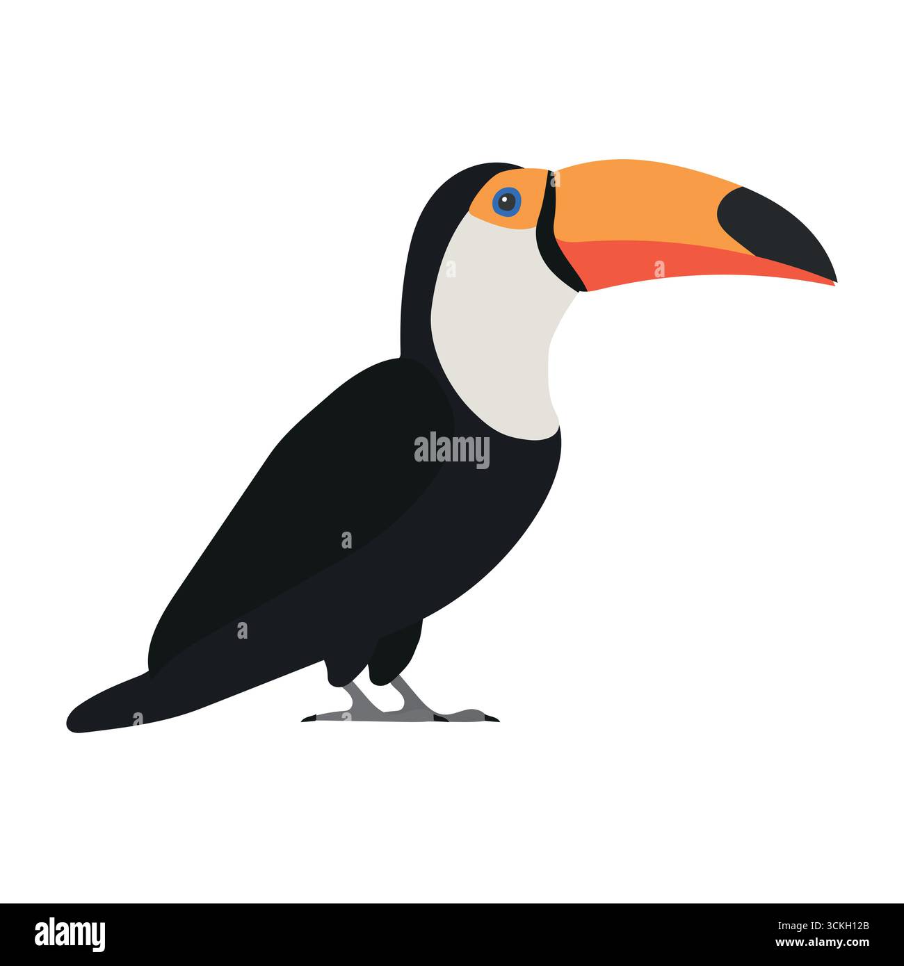 Toucan vettoriale piatto disegnato a mano isolato su sfondo bianco Illustrazione Vettoriale