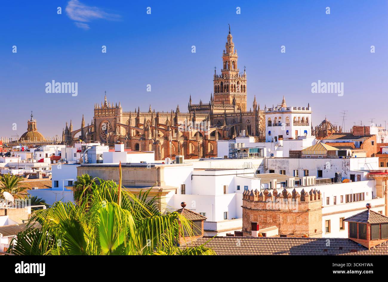 Siviglia, Spagna. Cattedrale di Santa Maria del vedere con la Giralda e la torre campanaria. Foto Stock