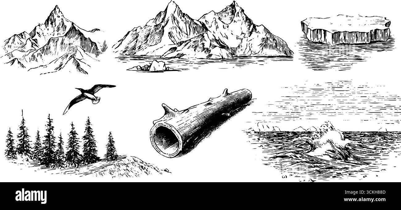 Schizzo di una scena costiera polare d'epoca: Ghiaccio, montagne e fauna selvatica. Illustrazione Vettoriale