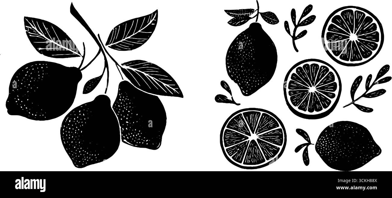 Composizione di agrumi Linocut di frutti interi e fette per design e stampa boho. Illustrazione Vettoriale