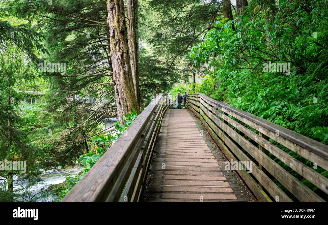 Il processo dell'uomo sposato è un breve percorso boscoso noto per la narrazione che gli uomini lo usavano per visitare con discrezione i bordelli di Creek Street, Ketchikan, Alaska Foto Stock