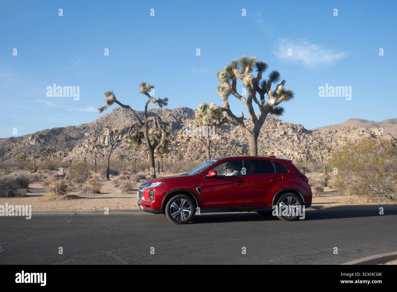 Joshua Tree National Park, California, Stati Uniti d'America Foto Stock