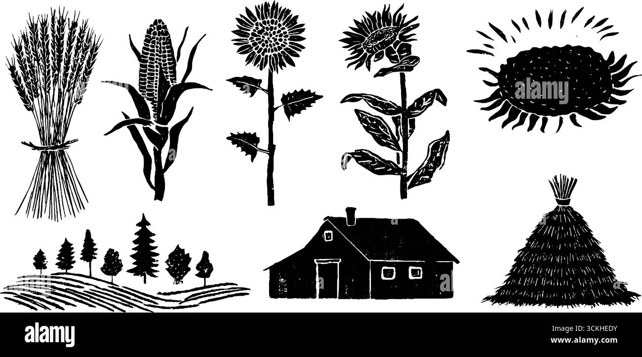 Raccolta di terreni agricoli rustici con pannocchie di frumento e pannocchie di mais per stampe vintage. Illustrazione Vettoriale