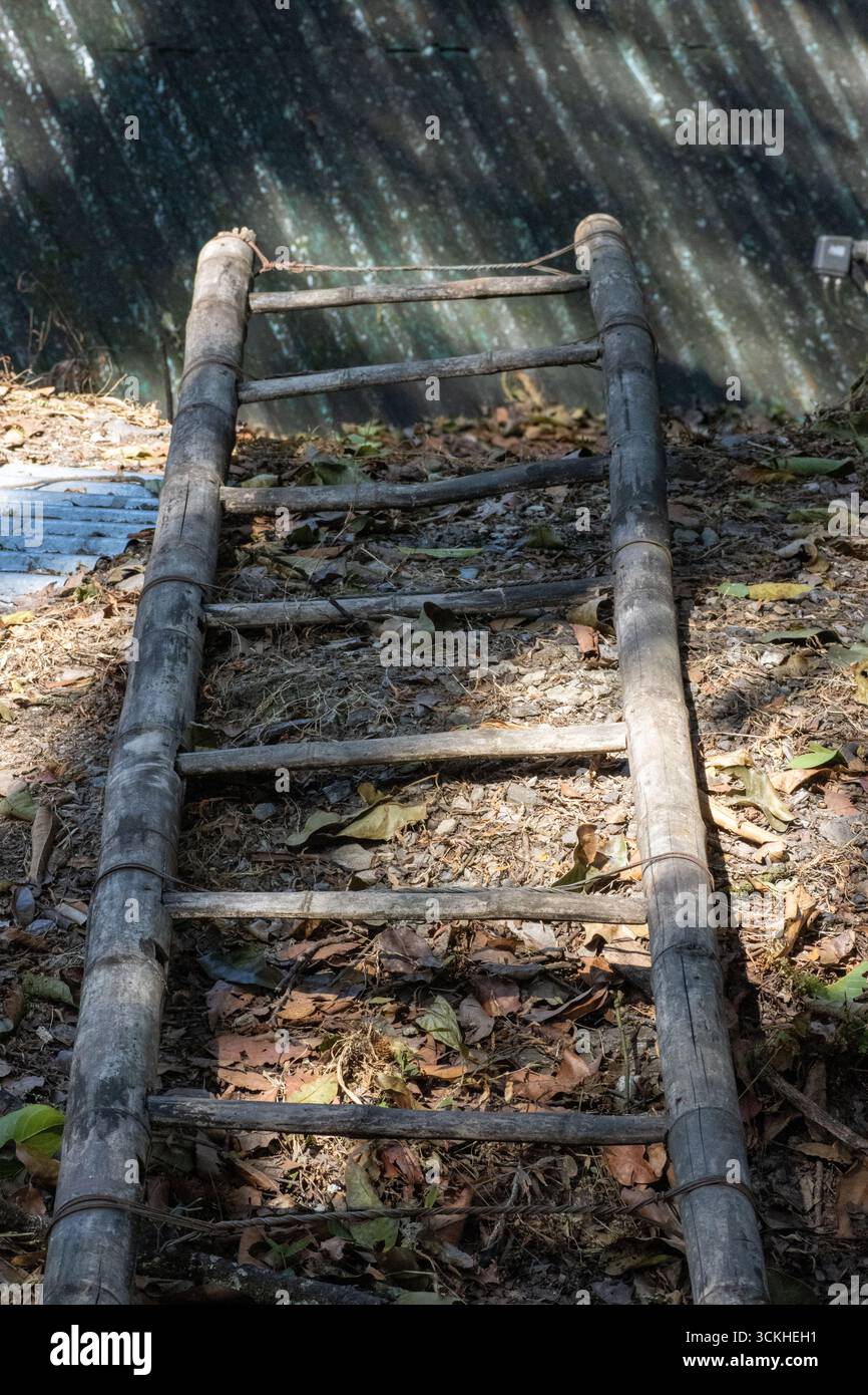 Vecchia scala fatta di bambù lasciata a terra a Darjeeling, India Foto Stock