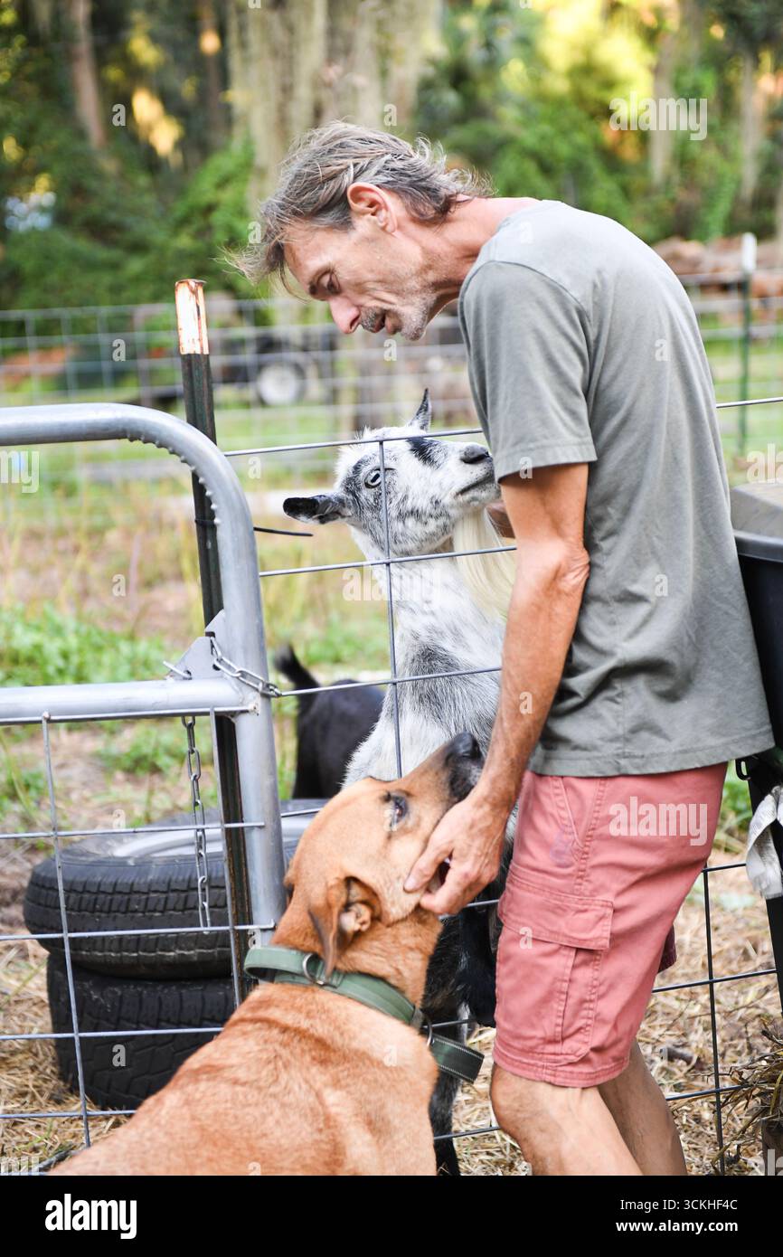 Uomo che accarezza il cane e saluta la capra al cancello della fattoria della Florida centrale Foto Stock