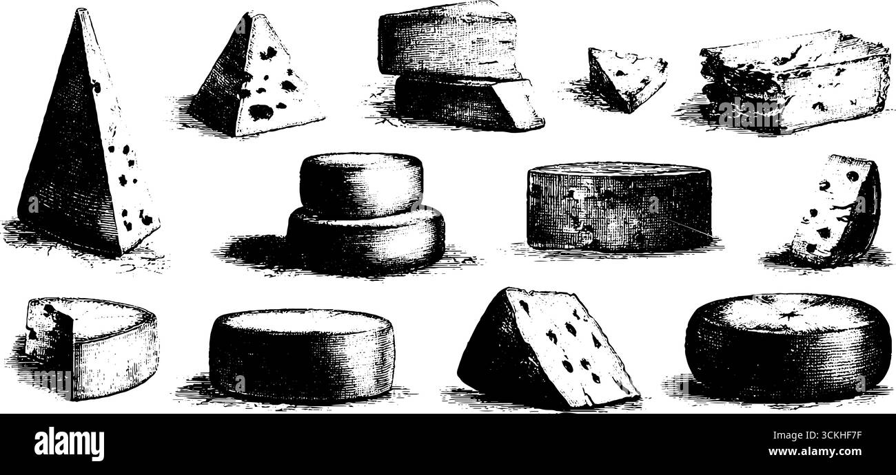 Collezione di elementi di design vintage per l'arte culinaria e il confezionamento. Illustrazione Vettoriale