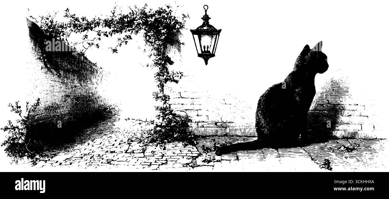 Inquietante collezione di scene di vicoli con vialetto acciottolato e silhouette di gatto per un design vintage. Illustrazione Vettoriale