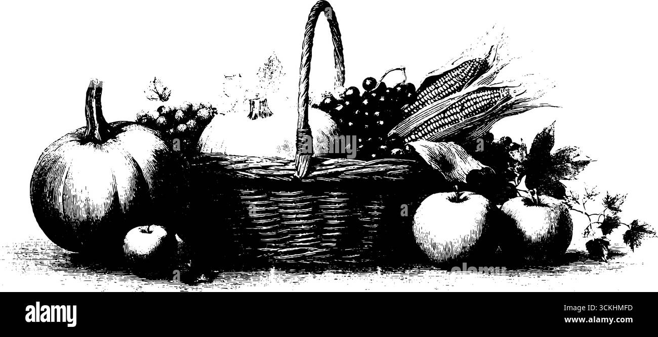 Raccogli la natura morta con zucche e frutta per un arredamento autunnale. Illustrazione Vettoriale