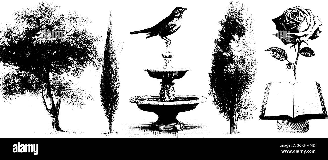 Elementi di design del giardino mistico persiano con alberi incisi, fontana, uccello, rosa e silhouette di libri. Illustrazione Vettoriale