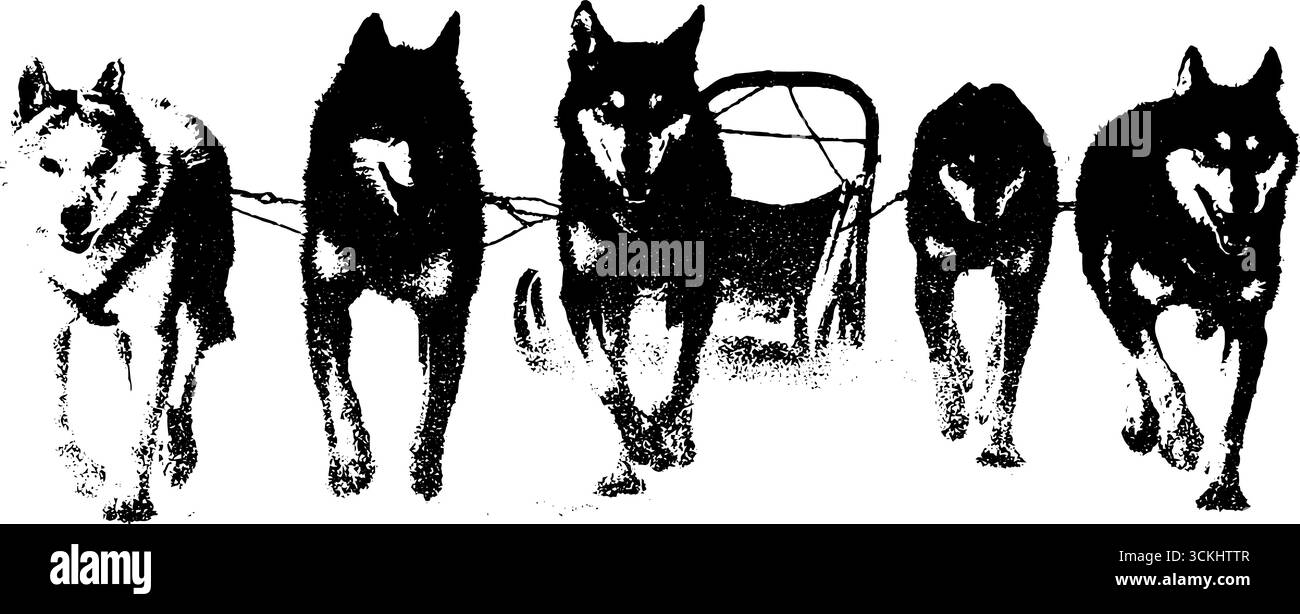 Stencil bianco e nero di cani da slitta imbrattati con slitta. Illustrazione Vettoriale