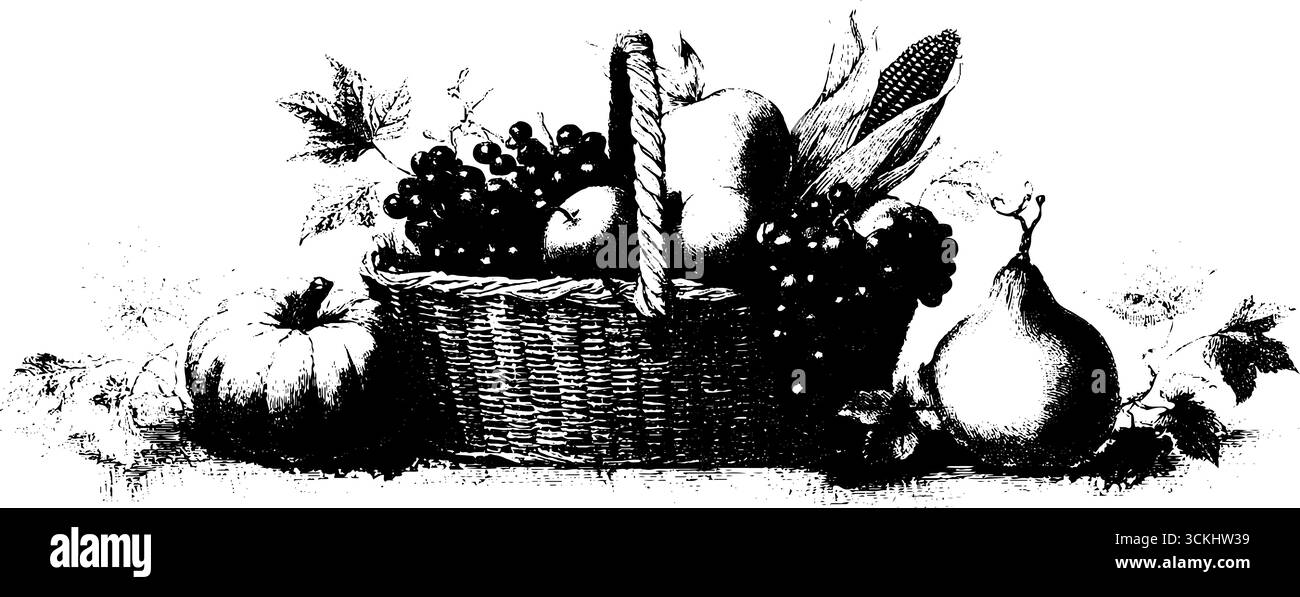 Raccogli la natura morta del cesto con frutta e verdura - design per la stampa e l'arredamento. Illustrazione Vettoriale