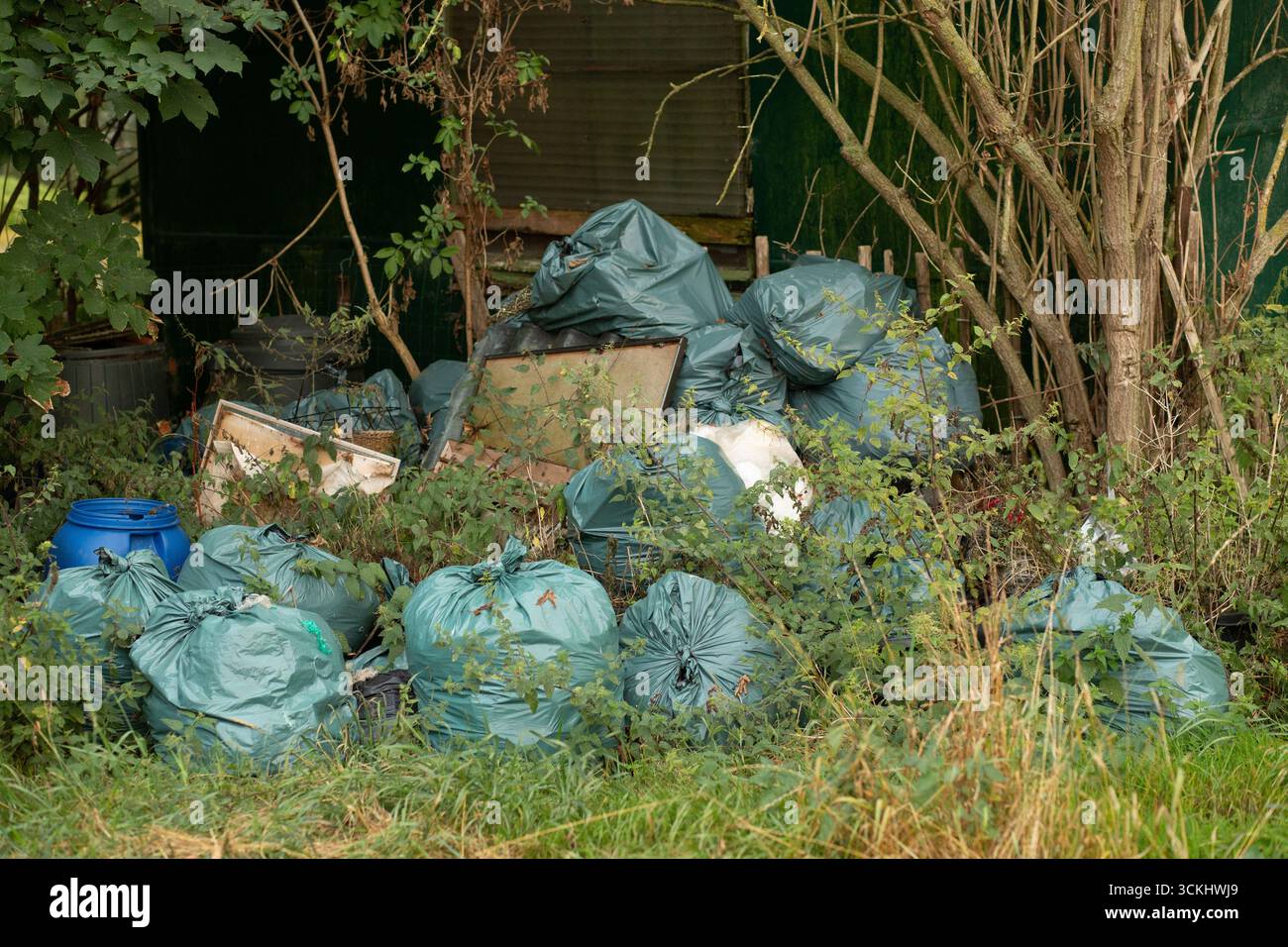 Nascondendo sacchetti di rifiuti illegali in una fitta vegetazione vicino a un capannone abbandonato, la natura copre lentamente l'inquinamento umano. Foto Stock
