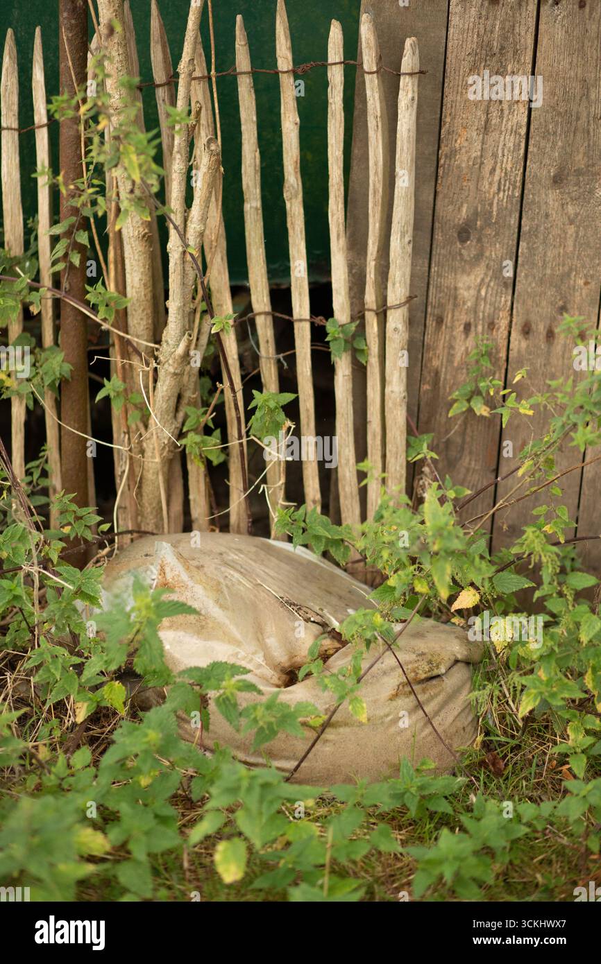 Sacchetti e detriti verdi vicino a vecchi contenitori sotto i rami, spazio di recupero della natura in mezzo a una foto di concetto di scarico illegale. Foto Stock
