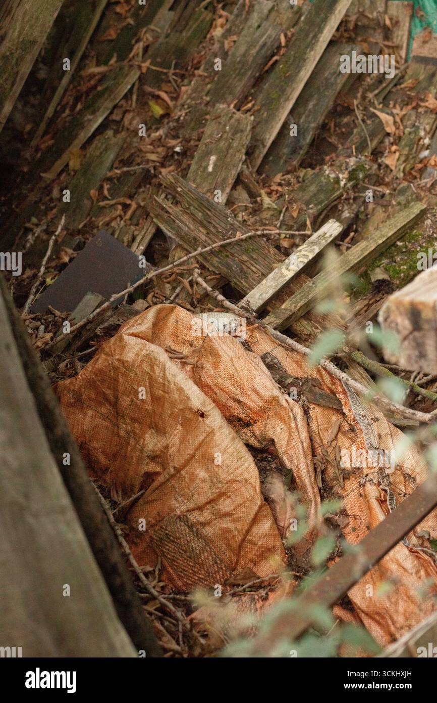 Sacchetti verdi impilati ad angolo basso vicino a resti industriali con ombre che raccontano un conflitto di rifiuti illegale nascosto e un messaggio di sensibilizzazione sull'ecologia Foto Stock