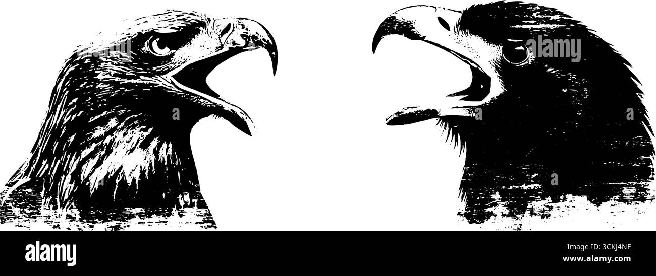 Collezione di illustrazioni con teste di aquila a stencil in bianco e nero per il design. Illustrazione Vettoriale