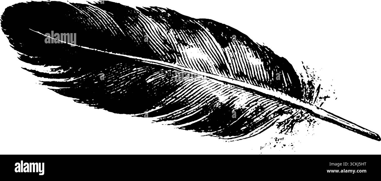 Illustrazione con stencil in piuma bianco e nero - design per poster e cartoline. Illustrazione Vettoriale