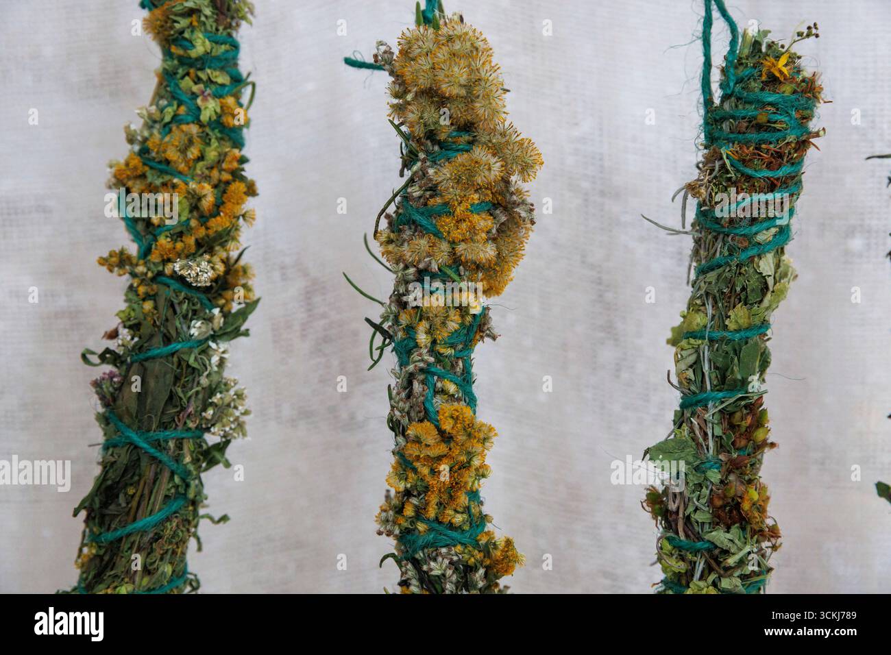 Smudge Sticks, erbe selvatiche essiccate arrotolate in bastoncini per fumare, Germania. Foto Stock