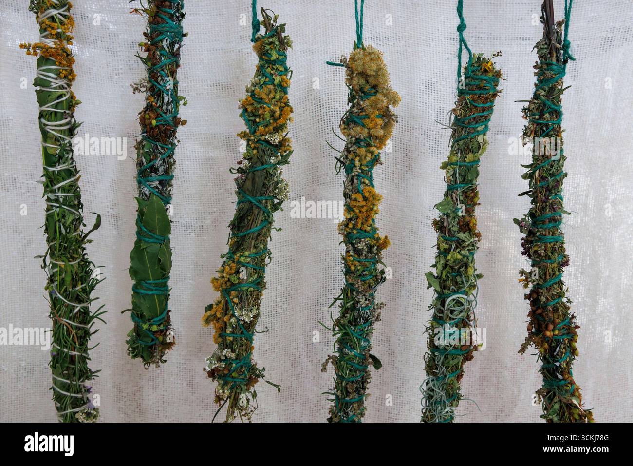 Smudge Sticks, erbe selvatiche essiccate arrotolate in bastoncini per fumare, Germania. Foto Stock