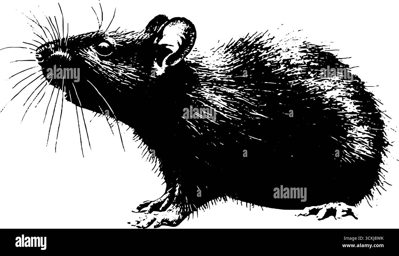 Stencil in bianco e nero di ratto per progetti di arte urbana e design. Illustrazione Vettoriale