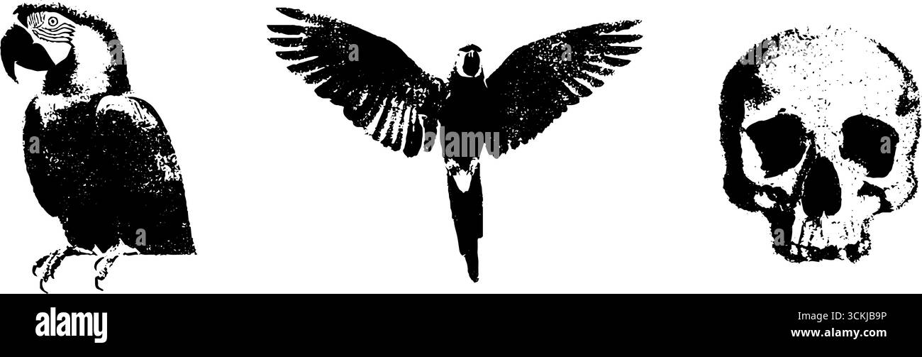 Set di stencil per pappagalli e teschio in bianco e nero per progetti di arte urbana e design. Illustrazione Vettoriale