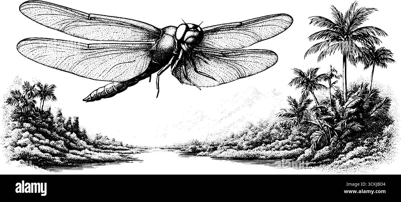 Dragonfly sorvola una palude della giungla di carbonifero in stile incisione vintage disegnata a mano. Illustrazione Vettoriale